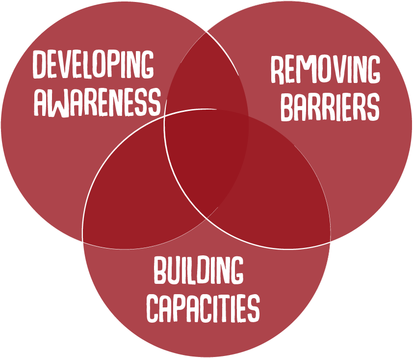 developing awareness; removing barriers; building capacities;